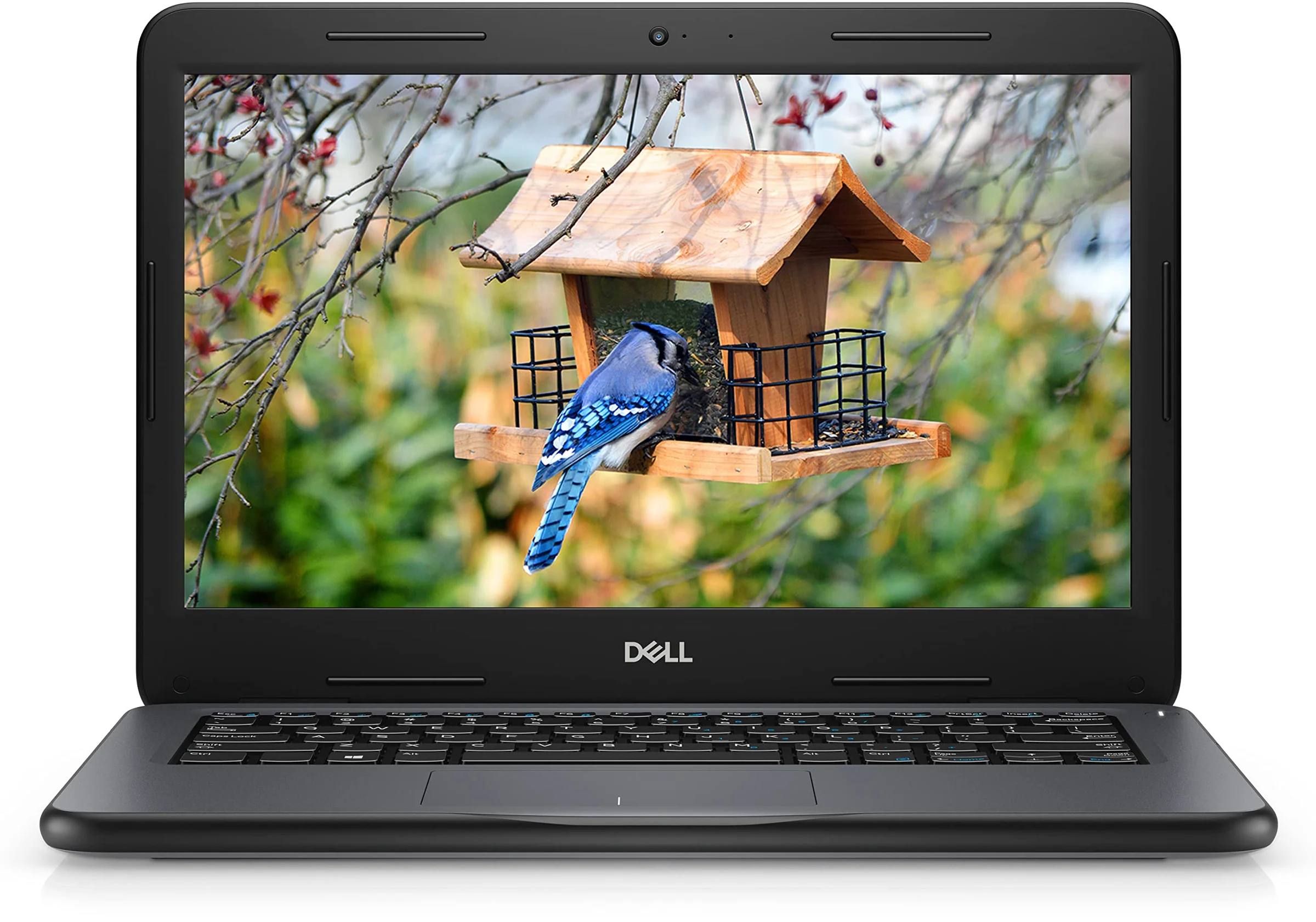 Miniature 3 de Dell latitude 3300